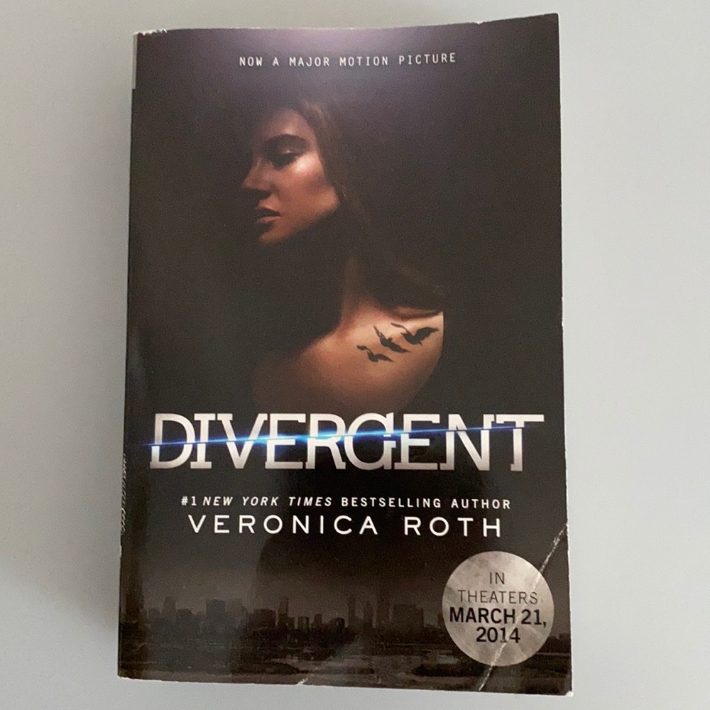 Divergent by Veronica Roth Paperback Chapter book